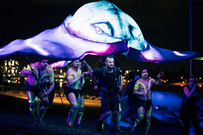 Large illuminated stingray puppet created by Curious Legends