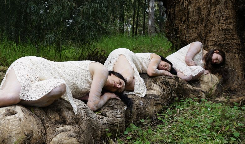 three dancers lying on a tree log