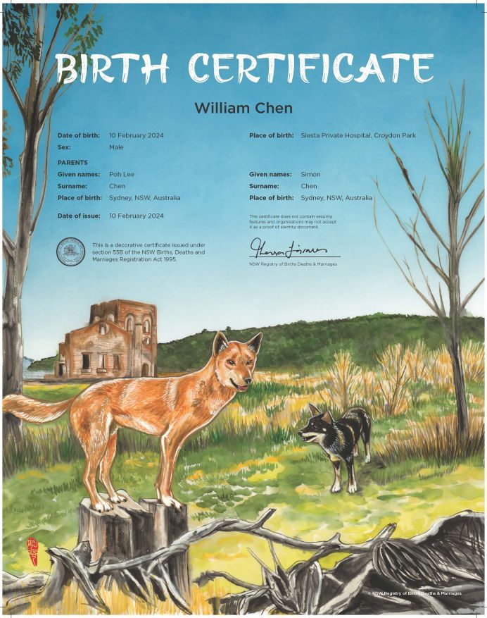 A commemorative birth certificate depicting two dingos in a grassy landscape. In the background there is an old sandstone building.