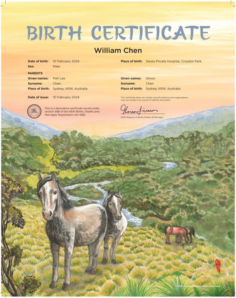 A commemorative birth certificate depicting a horse on a green hilly landscape