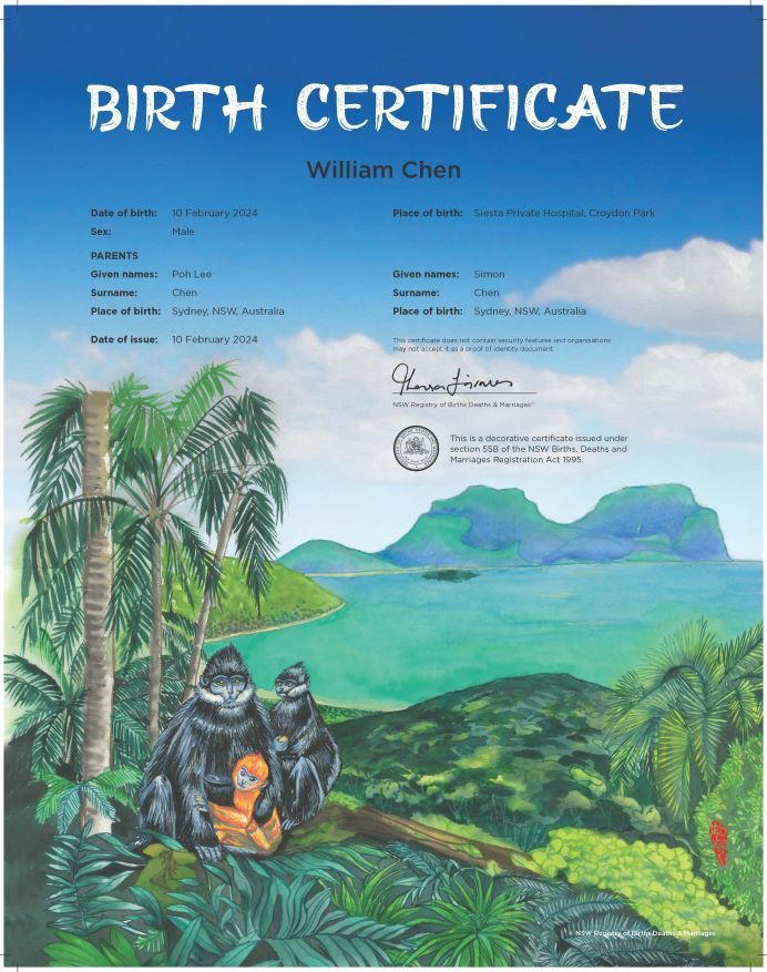 A commemorative birth certificate depicting an adult monkey and two juvenile monkeys reading a book in a rainforest by the sea