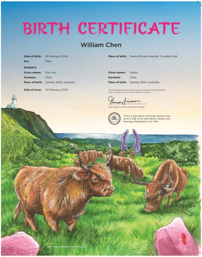 A commemorative birth certificate showing a herd of brown ox grazing on a lush green headland. In the background there is the ocean and a lighthouse.