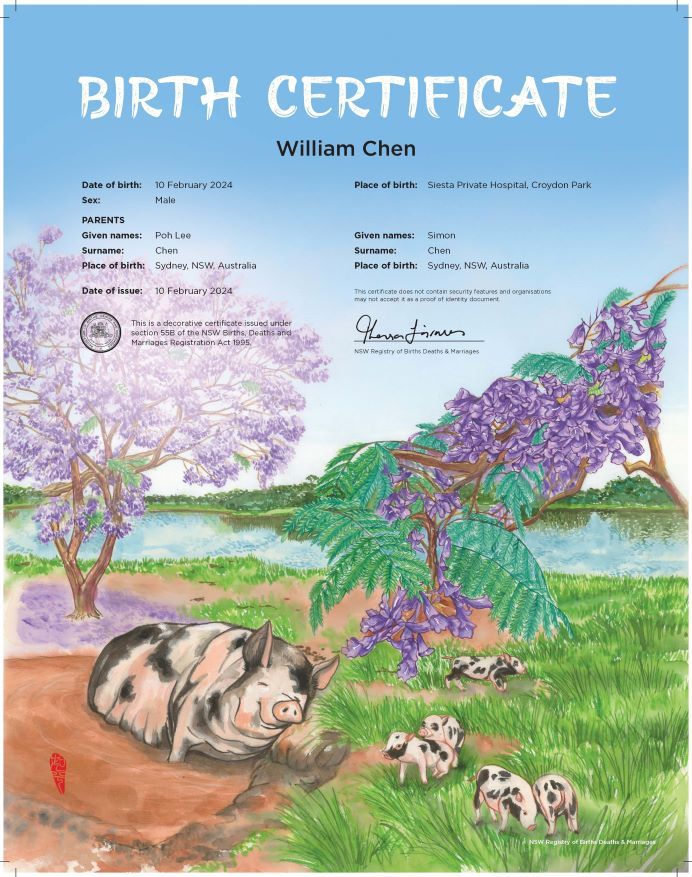 A commemorative birth certificate depicting a family of smiling pigs by a lake. They are resting and grazing in the shade under a flowering jacaranda tree