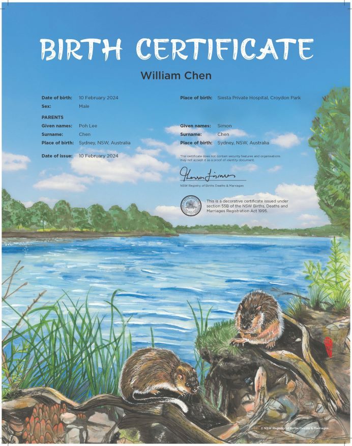 A commemorative birth certificate depicting two fluffy rats on the banks of a bright blue river