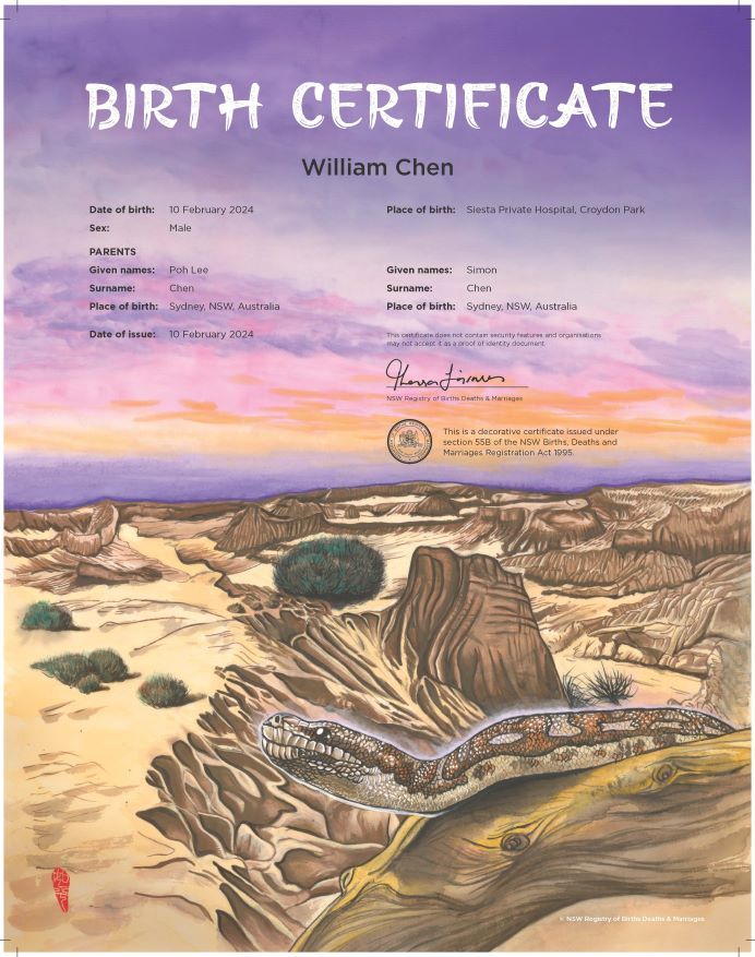 A commemorative birth certificate depicting a snake on a sandy landscape.