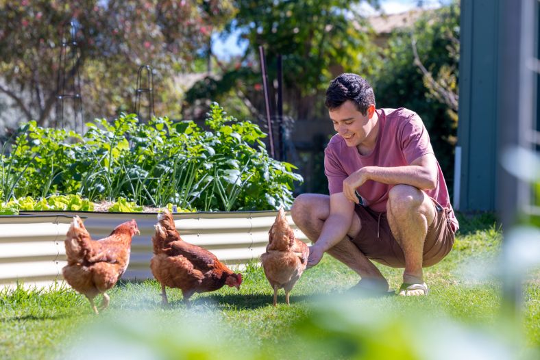A man in his garden with chickens