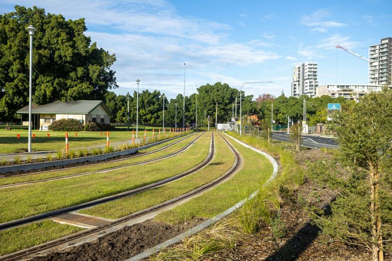 Green track and native plants near Robin Thomas Reserve