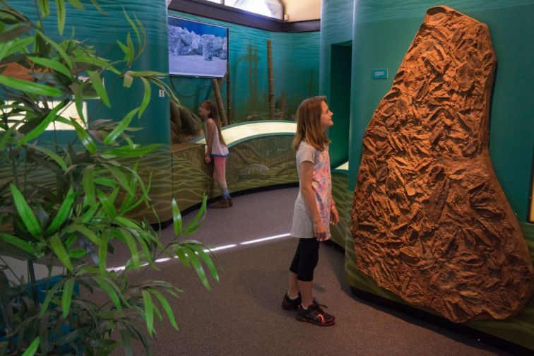 Age of Fishes Museum, Canowindra