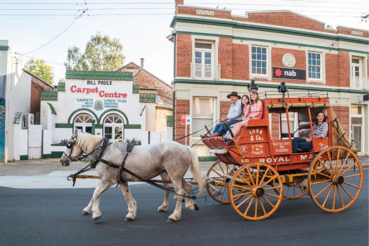 Travealy Horse Drawn Carriages, Canowindra