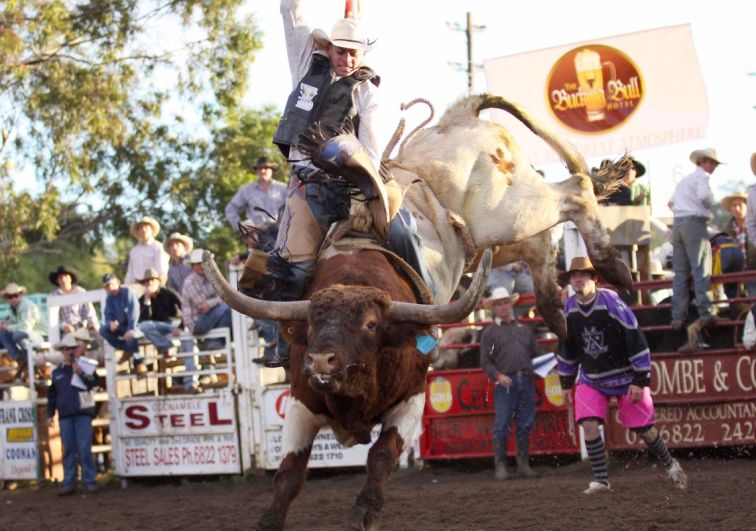 Person riding a bull at the Coonamble rodeo 
