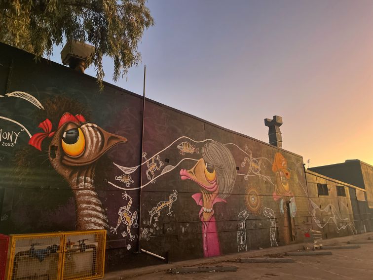 mural of emus on wall at Walgett