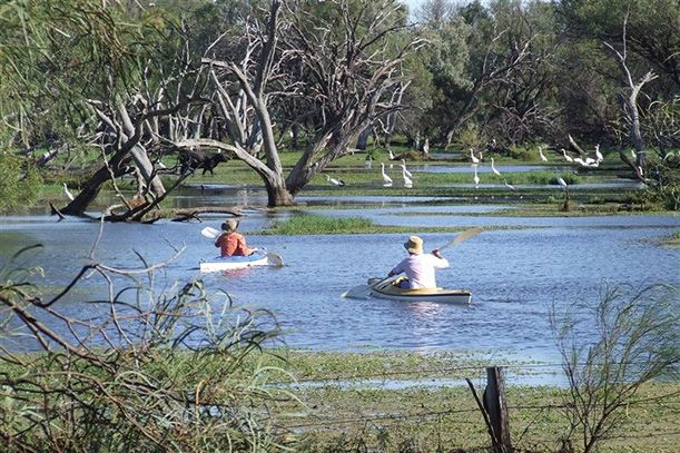 kayaking on the Macquarie Marshes neat Coonamble