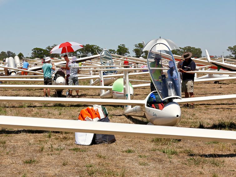 Gliders in the paddock at Narromine