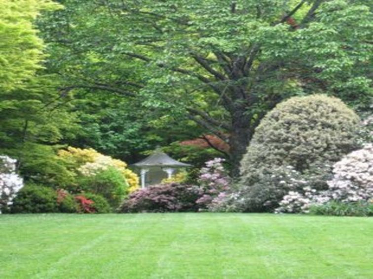 View of summerhouse from front lawn with Rhododendrons (Pink) in flower