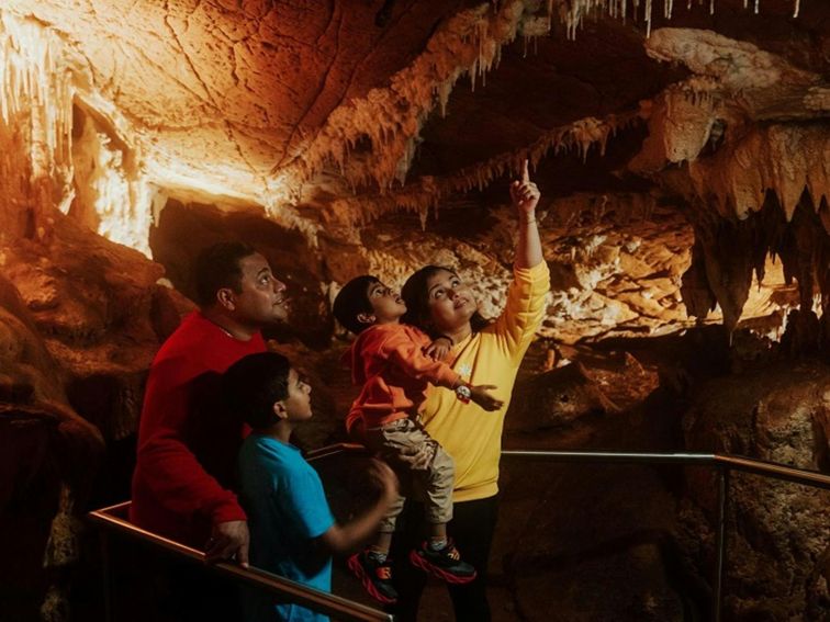 Visitors point out stalactites on the roof of Mulwaree Cave. Credit: Remy Brand/DPE &copy; Remy