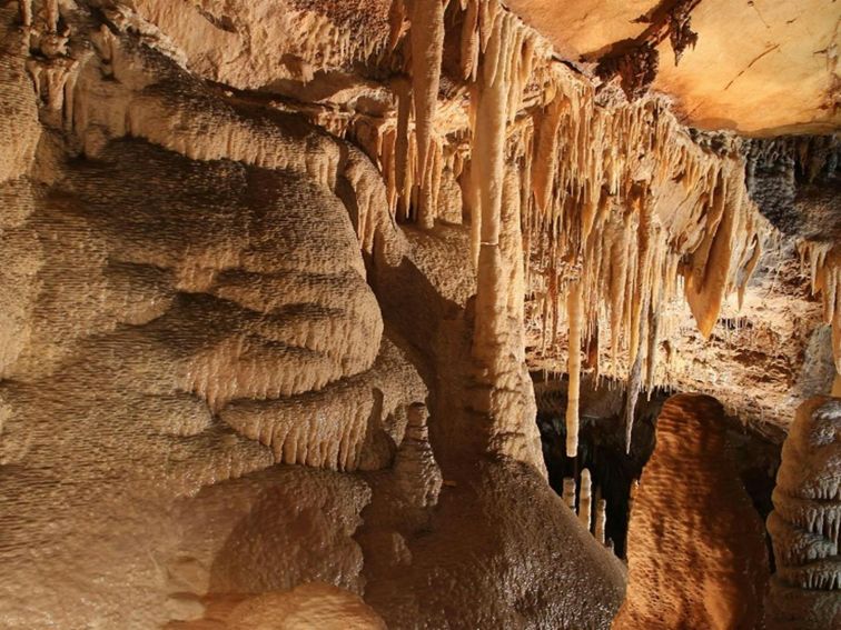 Impressive stalactites and stalagmites in Kooringa Cave. Credit: Stephen Babka/DPE &copy; Stephen