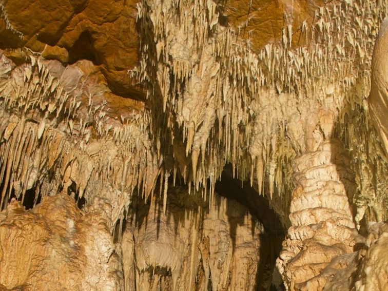 Large, sparkling stalactites hanging from the roof of Mulwaree Cave. Credit: Stephen Babka/DPE