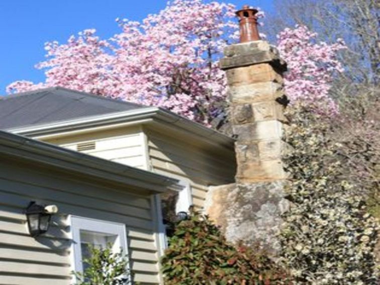 View of Nooroo cottage in Spring overshadowed by pink magnolia tree