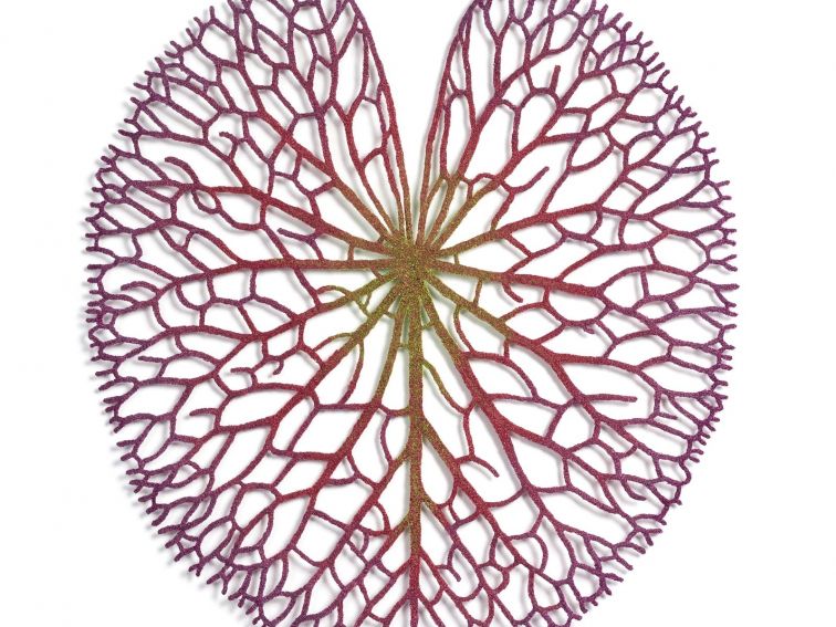 Lily pad leaf