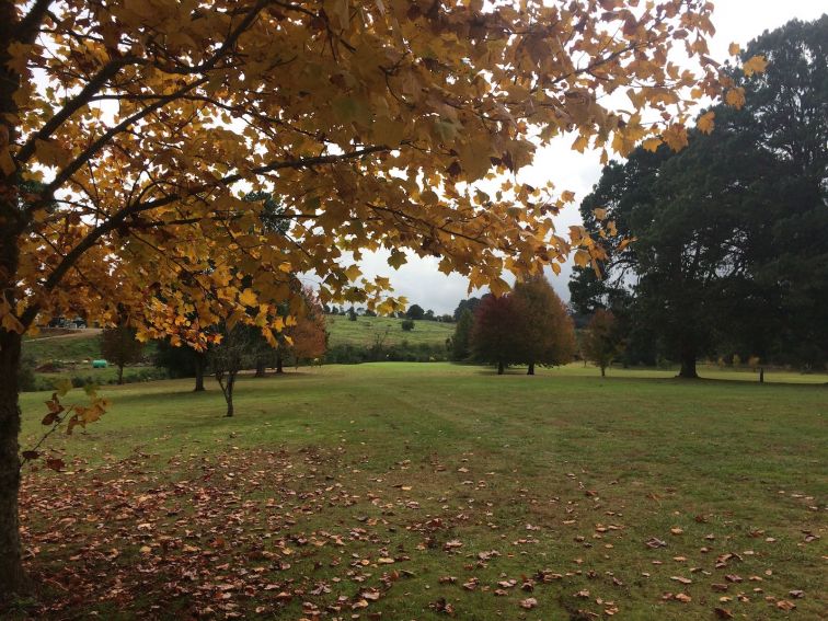 6th Hole in Autumn
