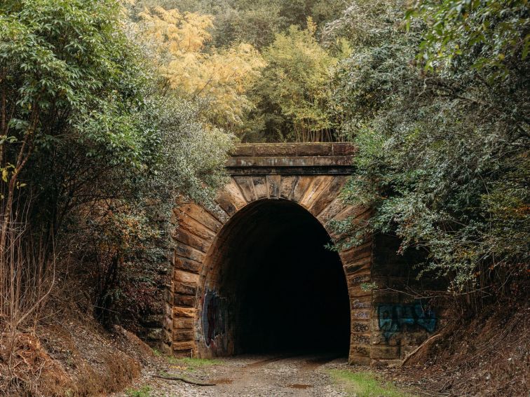 opening of the Mushroom Tunnel