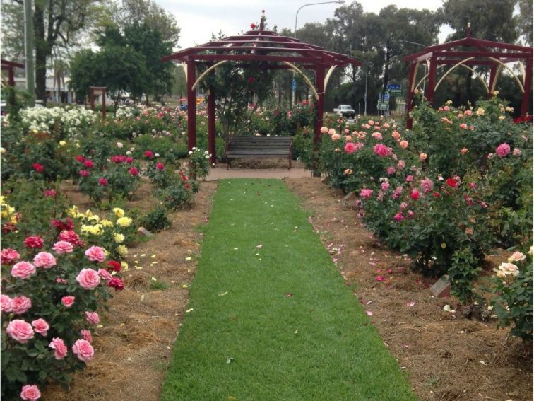 cowra rose garden