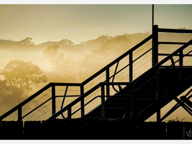 The railings and steps of a railway bridge are silhouetted in front of a yellow misty background