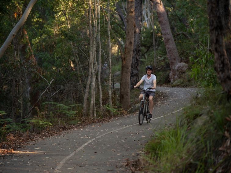 Bike Riding at Ku-ring-gai Wildflower Garden