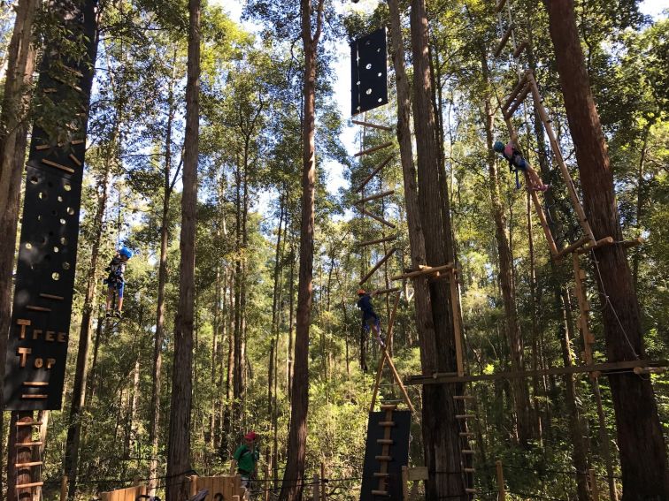 TreeTop Vertical Challenges