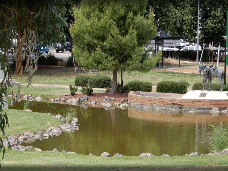 Image of The Tamworth Waler Memorial statue from across the pond