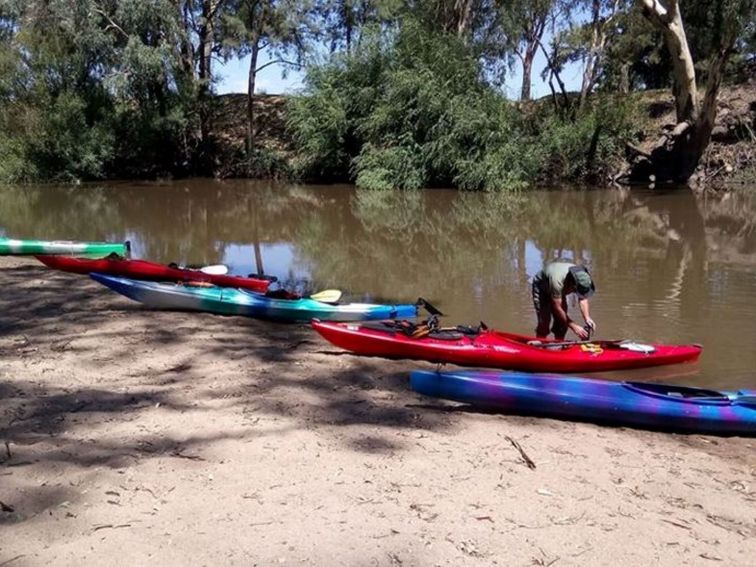 Kayaking is popular in the Lachlan River, Cowra