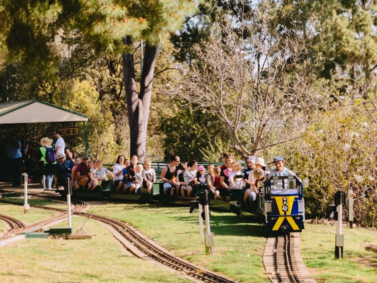 Groups of families enjoying a ride on a miniature train