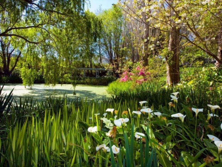 The beautiful Foxglove Spire Gardens