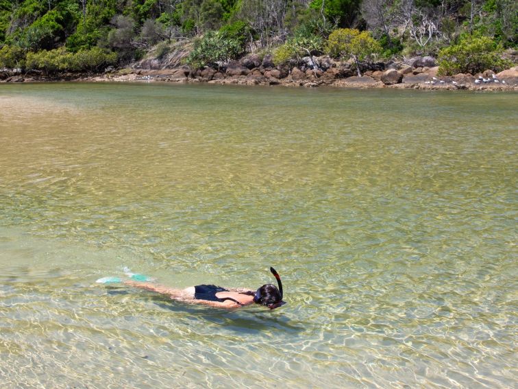 Snorkeling Hat Head NSW Macleay Valley Coast