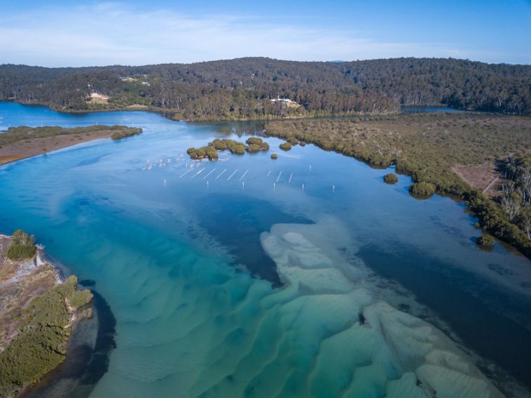 Bermagui River, Sapphire Coast NSW, fishing, kayaking, SUP, South Coast, estuary