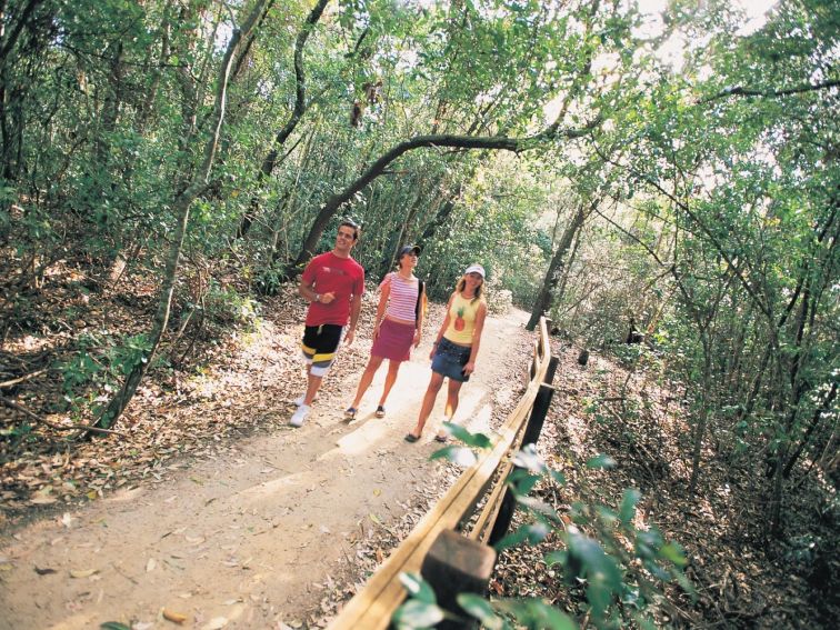 Iluka Rainforest Walking Track