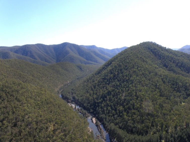 Guy Fawkes River, Guy Fawkes River National Park. Photo: S Leathers/NSW Government