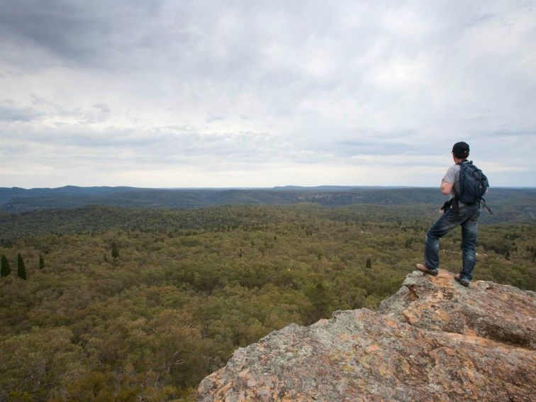 Lees Pinch lookout walking track, Goulburn River National Park. Photo: Nick Cubbin/NSW Government