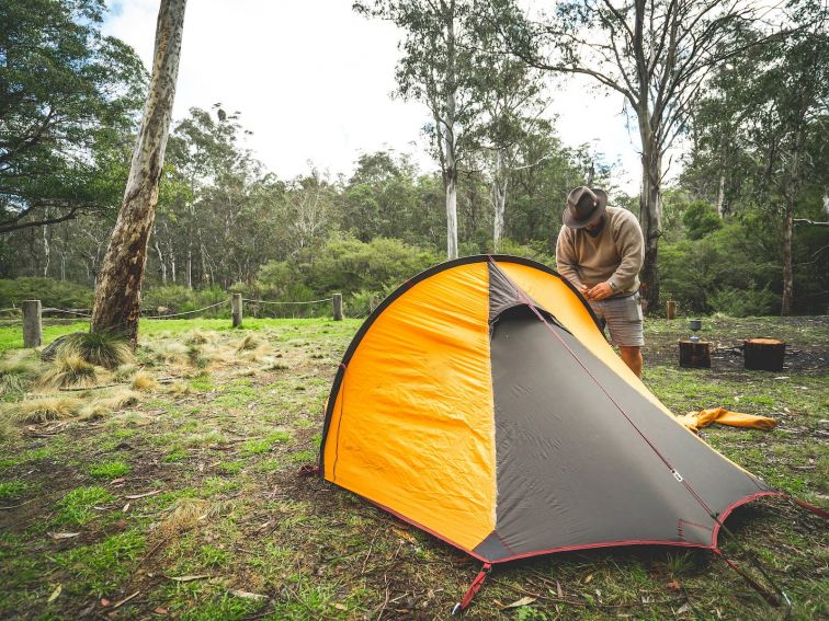 Camping in Barrington Tops State Forest, like all NSW State Forests, is free.