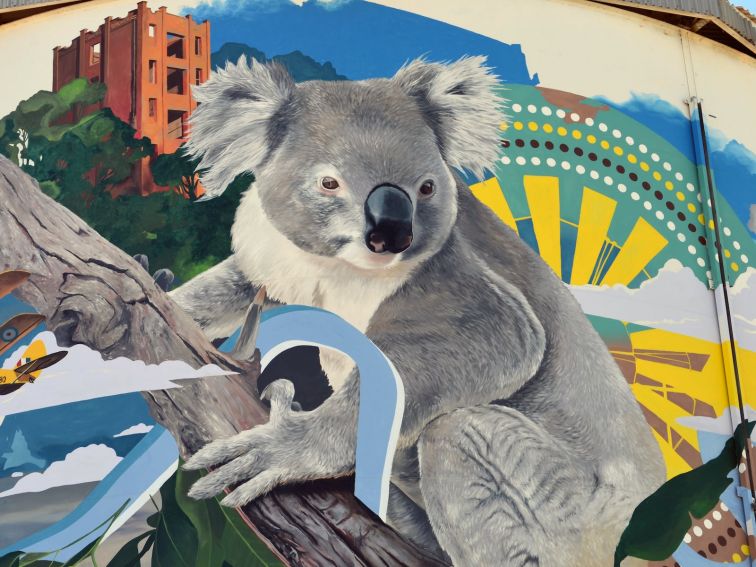 Narrandera Water Tower Mural by Addition Media