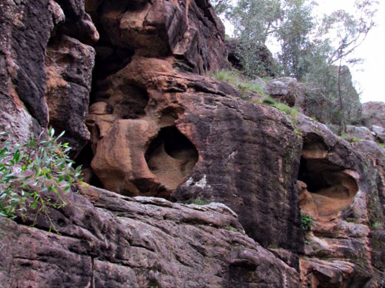 Rock Formations, Berthas Gully Track, Weddin Mountains National Park. Photo: M Cooper/NSW Government