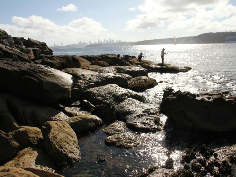 Rock fishing, harbour view South Head Heritage Trail Sydney Harbour National Park