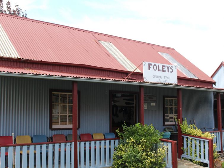Foley's store