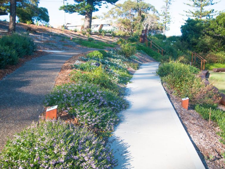 Pathway gardens.