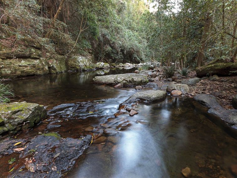 The Telegherry River, Chichester State Forest