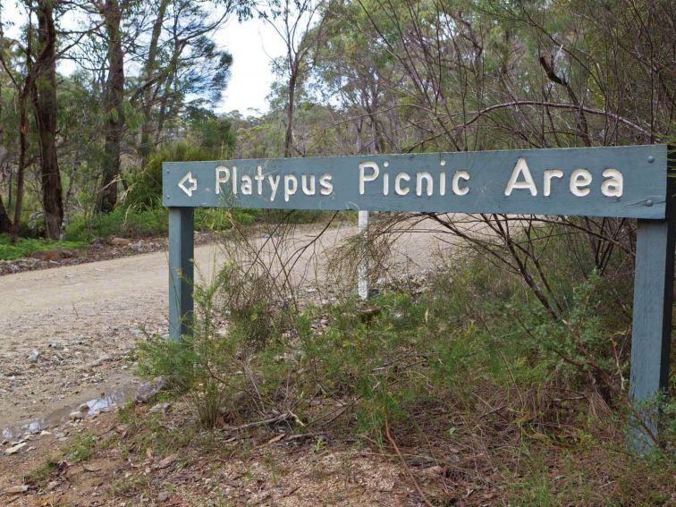 Platypus picnic area, Gibraltar Range National Park. Photo: Rob Cleary