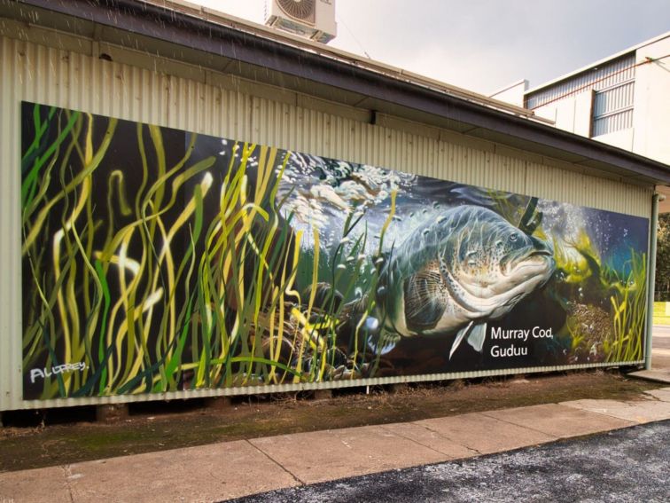 A panel mural featuring a Murray Cod, with the local Indigenous name, 'Guduu'.