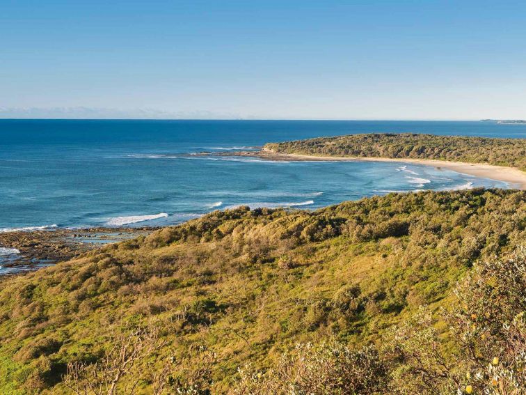 Angourie walking track, Yuraygir National Park. Photo: Rob Cleary