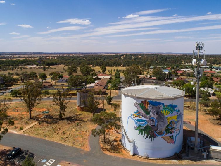 Aerial view of the Narrandera Water Tower koala mural