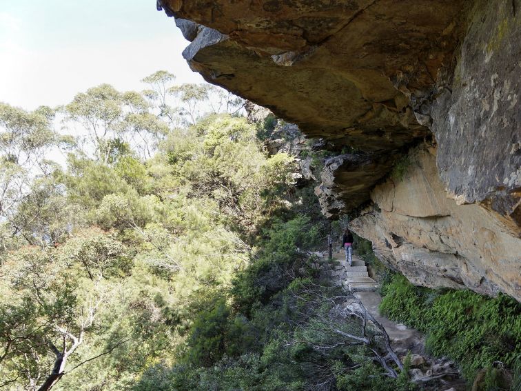 Overcliff-Undercliff track, Blue Mountains National Park